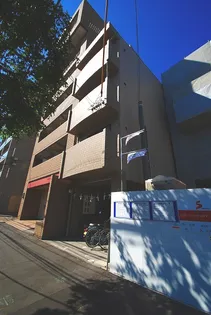 メノーコダマの画像