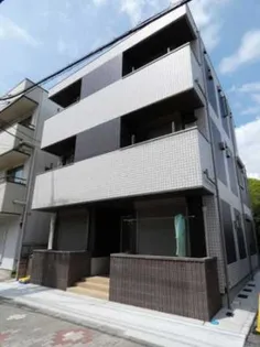 カーサリリーの画像