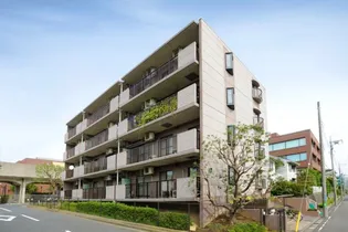 レーヴ仲町台の画像