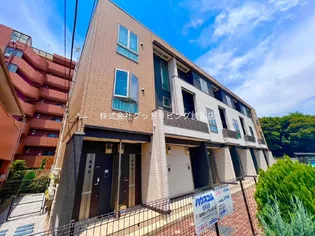 パリス デイジーの画像