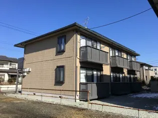 パス カリーニョBの画像