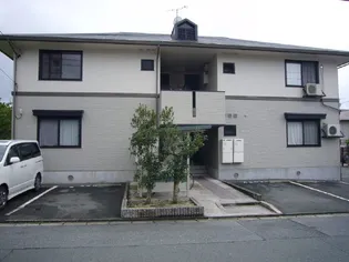 ハイカムール多米の画像