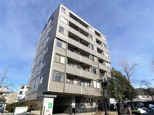 カサ ミラの画像