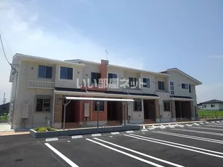 ベル トゥルネソルの画像