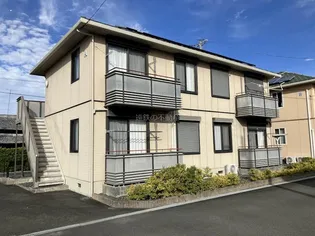 マナティーの画像