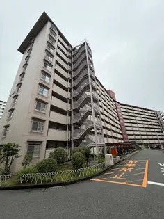 向島ニュータウン第3街区B棟の画像