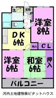 Y&M サンライズマンション【2階】の間取り