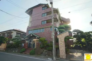 シャングリア丸太の画像