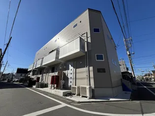 STELLAの画像