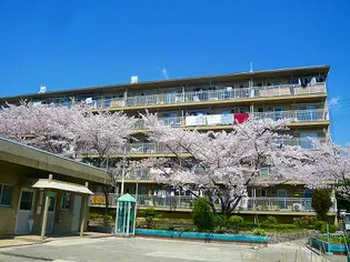 公社賃貸SMALIO 打上の画像