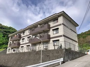 フォレスト蜂の巣Ⅱの画像