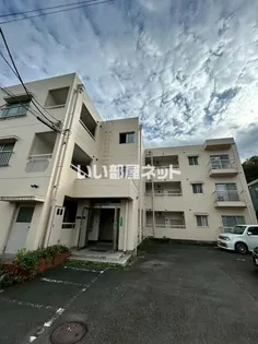 メゾン904【3階】の外観