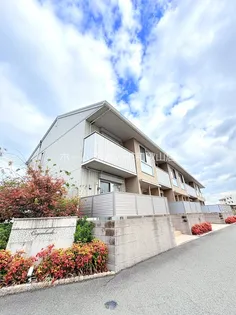 クロカンブッシュの画像