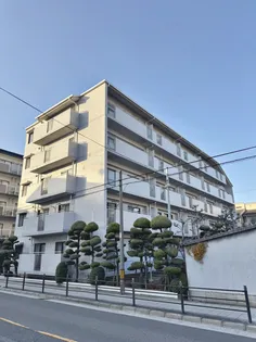 大阪府大阪市平野区平野西5【マンション】の外観