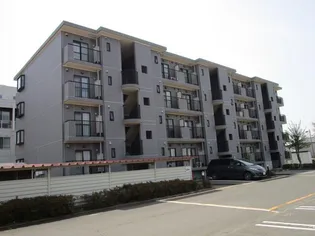 シャローネ星の画像