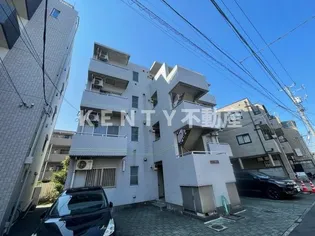 コアオリベの画像