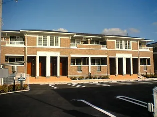 パルムドールの画像