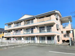 セルアーモ栄井の画像