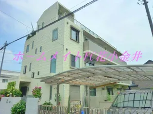 ガーデンホワイトの画像