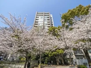 WE WILL 八丁堀の画像