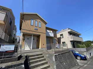 ディアスリリーの画像