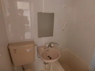 大京ハイム【2階】の内装