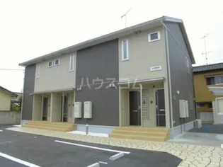 ルピナスの画像