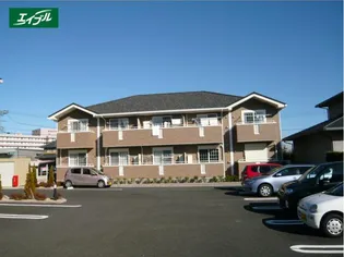 サンフィットの画像