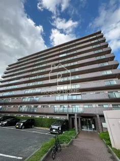 大阪府大阪市城東区鴫野西3【マンション】の外観