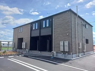 アジュガ IIの画像