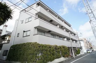 レオノーレ雪谷【4階】の外観