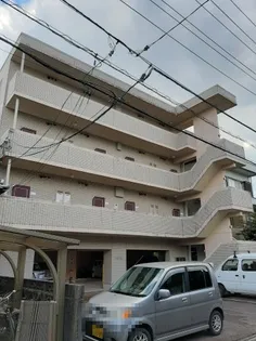 ライトベアの画像