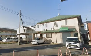 プリムローズの画像
