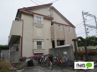 パディハイツの画像