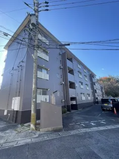 大善坊マンションの画像