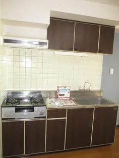 ヒルズヴァンベールD棟の画像