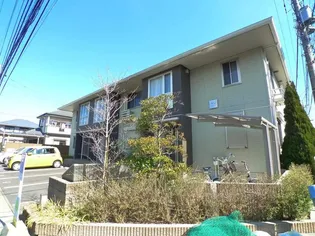チリエージョの画像
