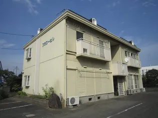 フラワーヒルの画像