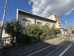 ハウスケヤキの画像
