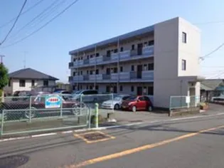 シャンボールミヤの画像