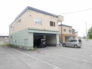 パトリーノの画像