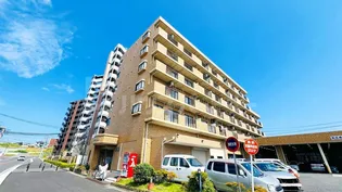 オアシスの画像