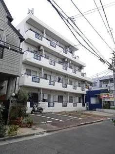 ハウズィズ椋の樹の画像