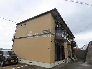 ファミールT Kの画像