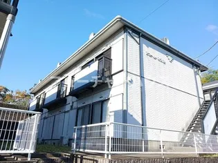 アコールスワBの画像
