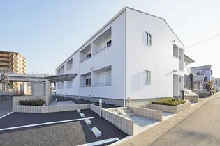 マリポーサの画像