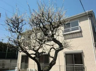 ラ ムジーク三軒茶屋の画像