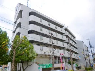 グラシアミノオIの画像