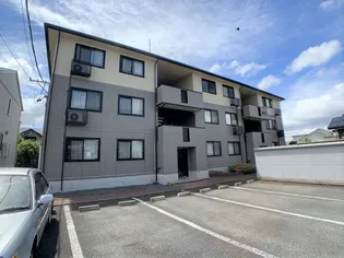 セジュールタニフジの画像