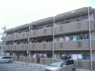 ユーミー豊泉の画像